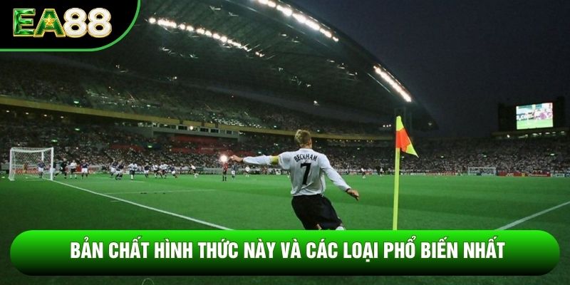 Bản chất hình thức này và các loại phổ biến nhất
