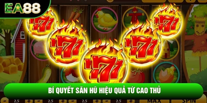 Bí quyết săn hũ hiệu quả từ cao thủ Bí quyết săn hũ hiệu quả từ cao thủ