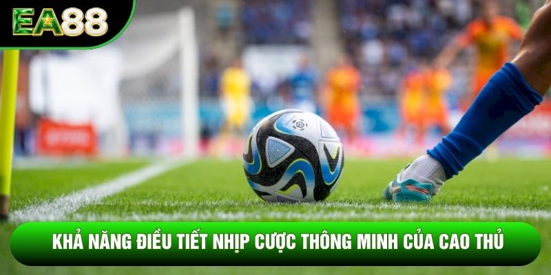 Khả năng điều tiết nhịp cược thông minh của cao thủ