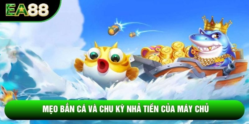 Mẹo bắn cá và chu kỳ nhả tiền của máy chủ Mẹo bắn cá và chu kỳ nhả tiền của máy chủ